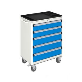 MOBILE TOOL CABINET (700x450x930 mm) 5 DRAWERS